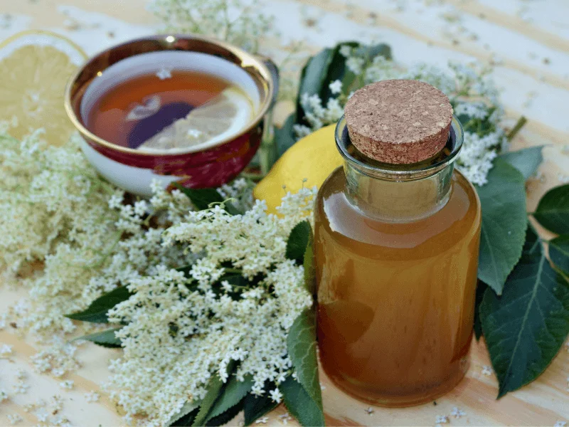 Dầu tràm trà có khả năng trị mụn hiệu quả mà ít gây tác dụng phụ