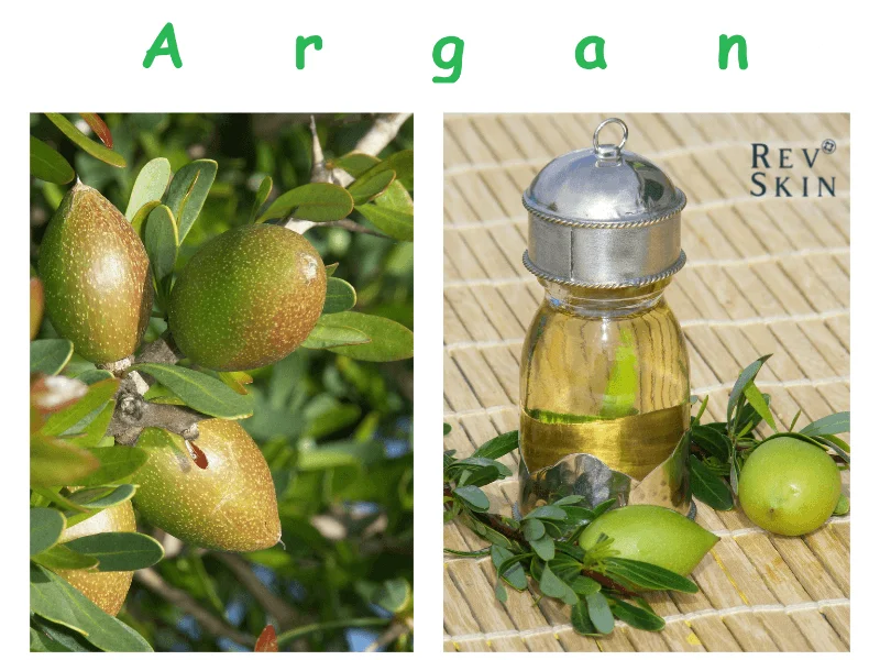 dau argan duong toc 4