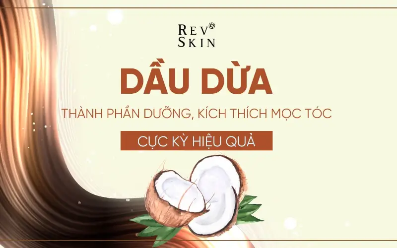 dau dua
