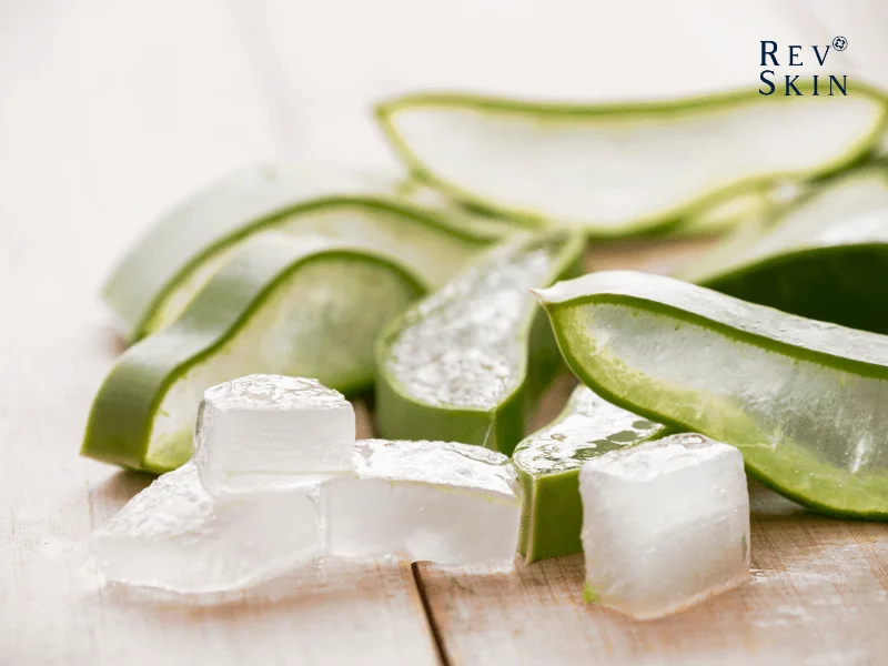 Tác dụng của nha dam trong việc dưỡng tóc 4