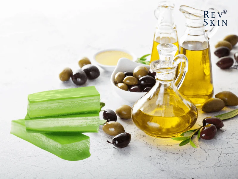 Tác dụng của nha dam trong việc dưỡng tóc 5