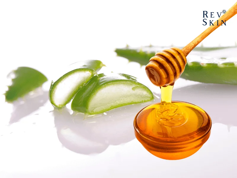 Tác dụng của nha dam trong việc dưỡng tóc 6