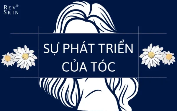 su phat trien cua toc