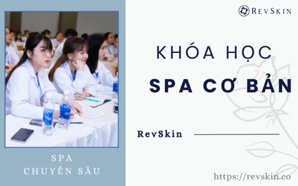Khóa học spa cơ bản