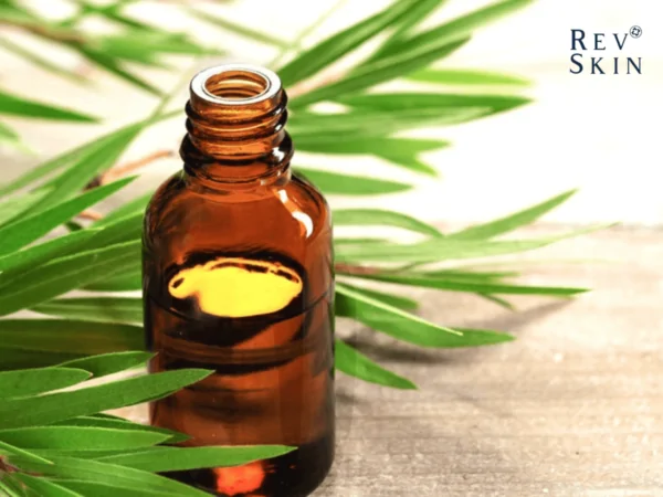 7 cach danh bay mun o mui hieu qua 3